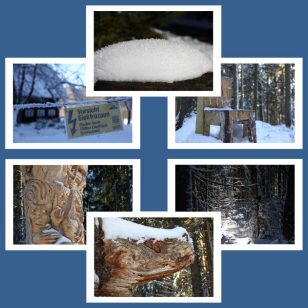 Postkarten: Hinterzarten im Winter